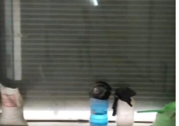 Space for rent in South extension Delhi